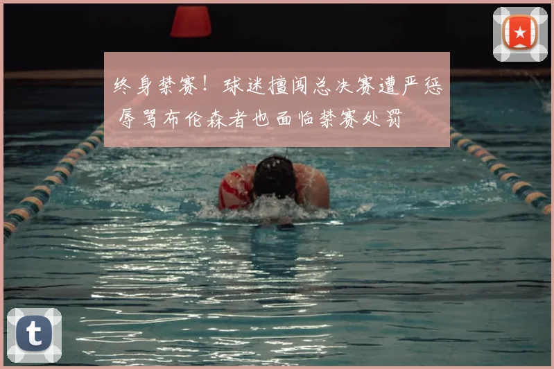 终身禁赛！球迷擅闯总决赛遭严惩 辱骂布伦森者也面临禁赛处罚