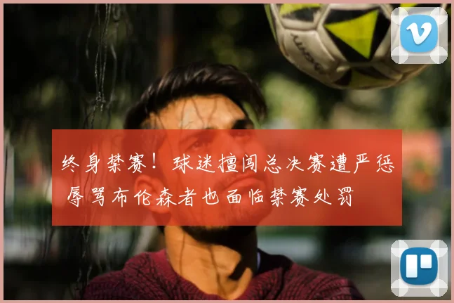 终身禁赛!球迷擅闯总决赛遭严惩 辱骂布伦森者也面临禁赛处罚